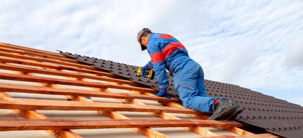 Best Roof Inspection  in Walker, MI