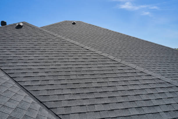 Best Solar Panel Roofing Installation  in Walker, MI